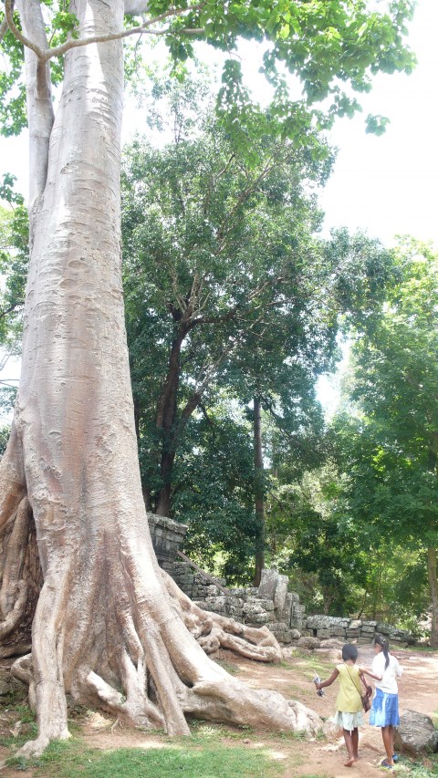 angkor4