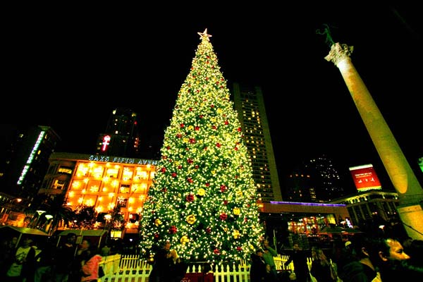 Tom Cronin San Francisco