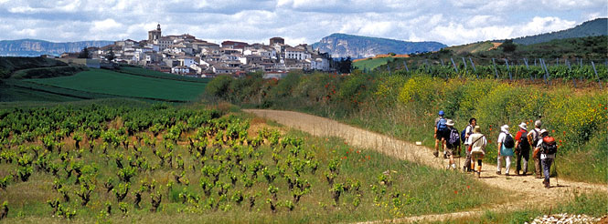 pilgrims_way-brian-mcgilloway-spain031-pano