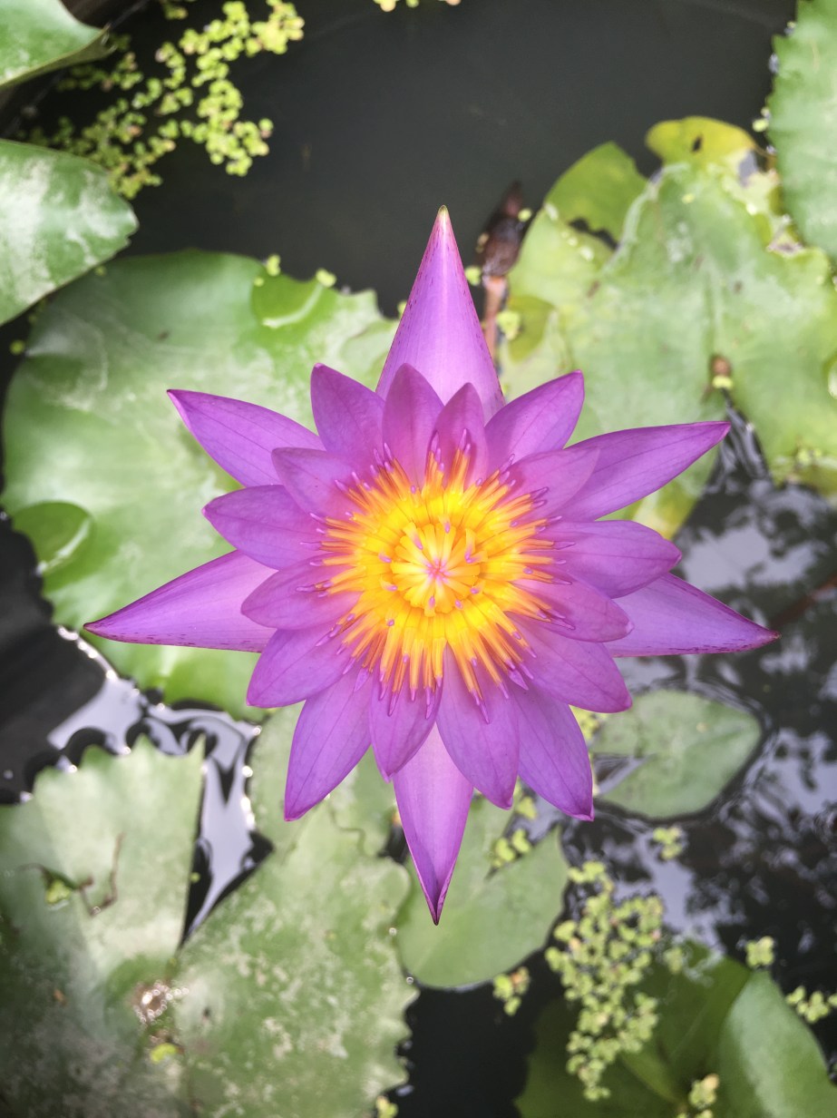 068589C2-6274-4077-83C8-8A6C6CC9771E